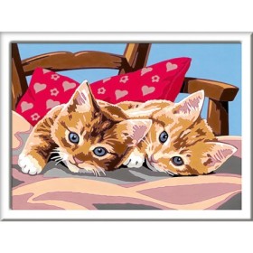 Pictura Pe Numere - Pisicute Ravensburger - 1